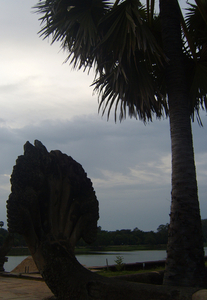 Angkor Wat bij avond