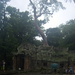 Ta Prohm