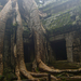 Ta Prohm