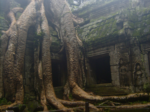 Ta Prohm