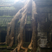 Ta Prohm