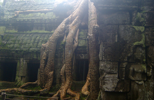 Ta Prohm