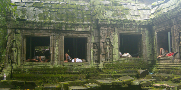 Iedereen aan het werk in de jungle-tempel