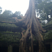 Ta Prohm