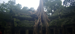 Ta Prohm