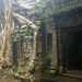 Ta Prohm