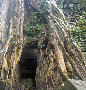 Ta Prohm