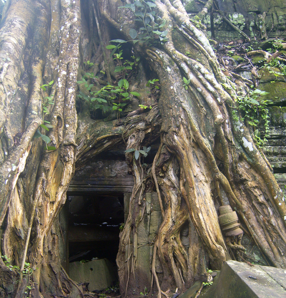 Ta Prohm