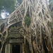 Ta Prohm