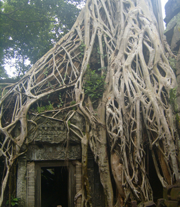 Ta Prohm