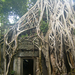 Ta Prohm