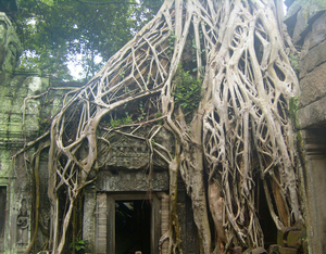 Ta Prohm