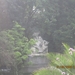 zoo antwerpen 016