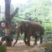 zoo antwerpen 099