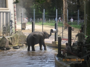 zoo antwerpen 103