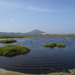 Natuurgebied s'Albufera