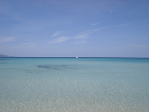 Mallorca - stranden SonReal