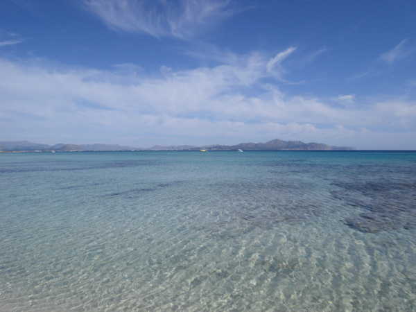 MALLORCA/baai van Alcudia