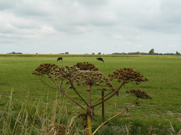 Veere-kamperland 39,7km 015