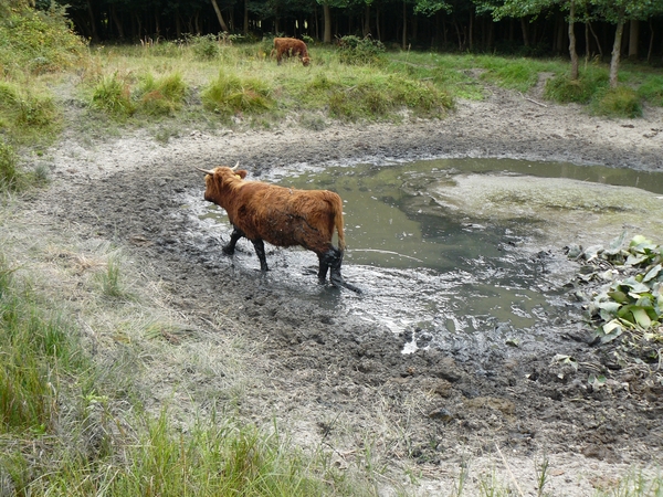 Veere-kamperland 39,7km 033