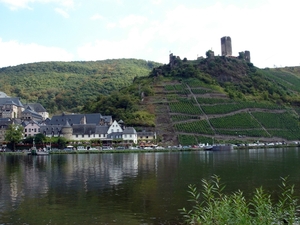 000104Beilstein