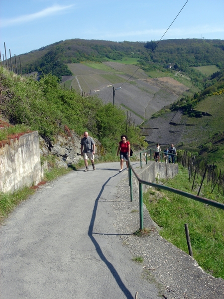 000429BernKastel