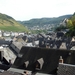 000843Cochem