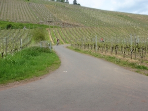 001022HappyMosel
