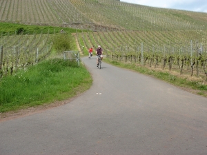 001023HappyMosel