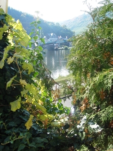 001309TrabenTrabach