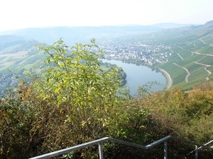 001912ReilToTrabenTrabach