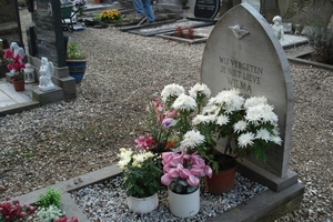 DSC05606