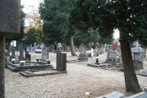 DSC05615