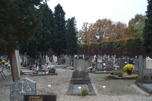 DSC05700