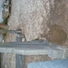 DSC03015
