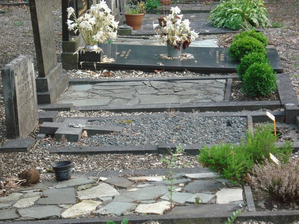 DSC03046