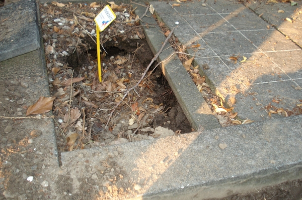DSC03056