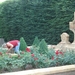 DSC03208