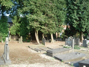 DSC03210