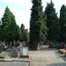 DSC03212