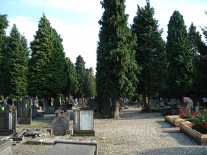 DSC03212