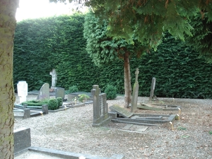 DSC03217