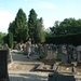 DSC03219