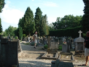 DSC03219