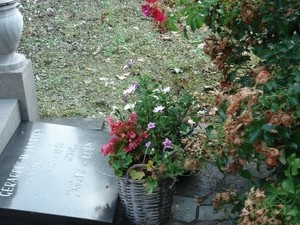 DSC03246