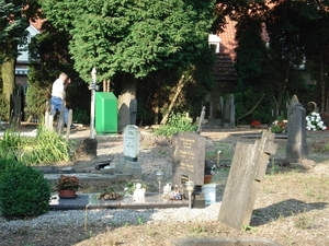 DSC03247