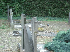 DSC03252
