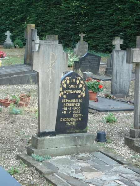 DSC03254