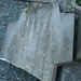 DSC03255