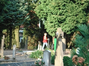 DSC03259